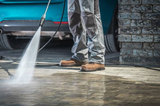 Best Driveway Pressure Washing  in Springfield, FL