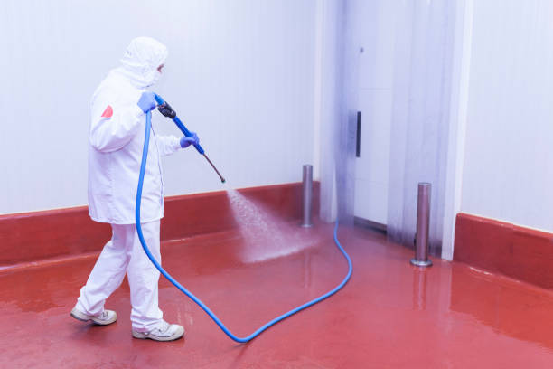 Best Sidewalk and Walkway Cleaning  in Springfield, FL