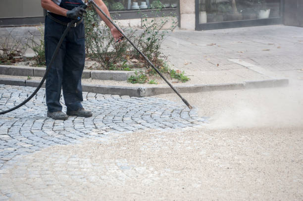 Best Building Exterior Washing  in Springfield, FL