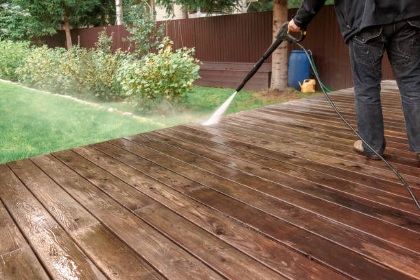 Best Dumpster Area Cleaning  in Springfield, FL