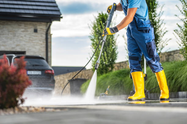 Best Graffiti Removal  in Springfield, FL